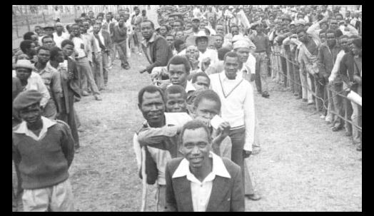 1988 queue voting
